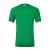 Maillot de Supporter Irlande Domicile 2023 Pour Homme